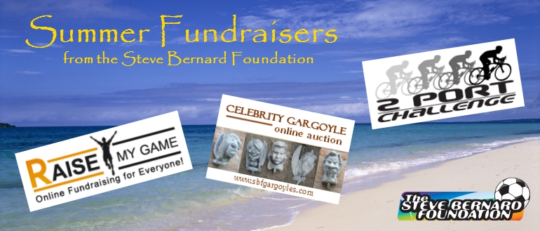 Click here to enter stevebernardfoundation.org